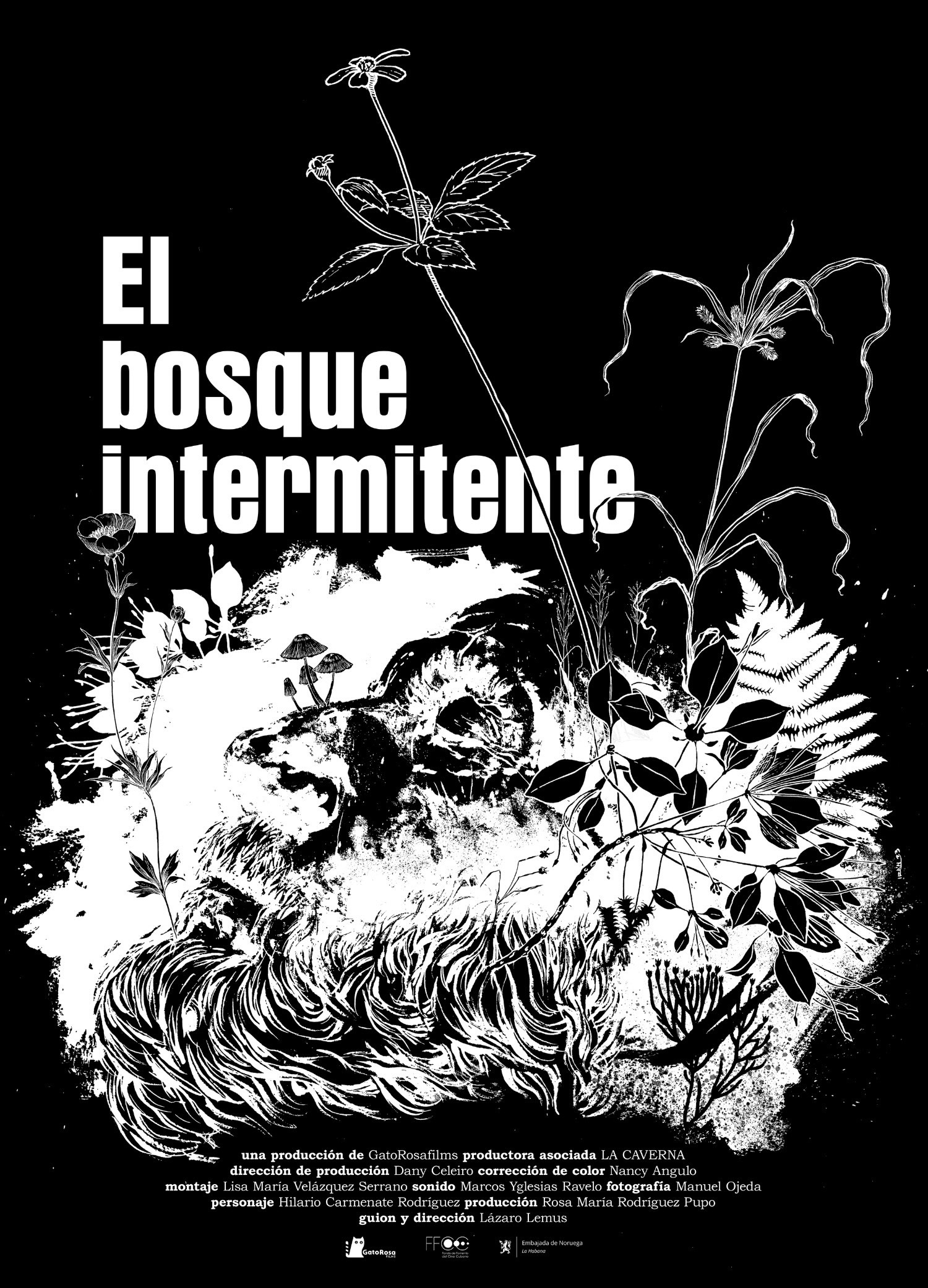 El bosque intermitente